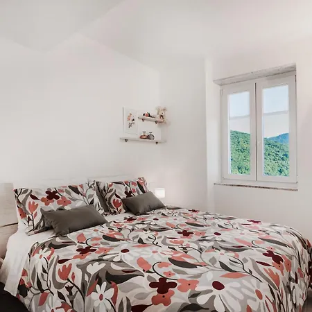 Apartment Gorgeous In