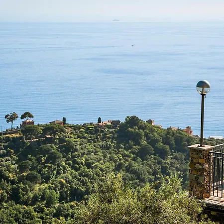 Gorgeous In * Recco